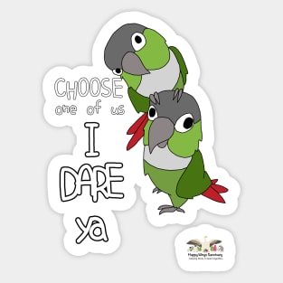 HWS SASSY COLLECTION! - GREEN CHEEK CONURE Sticker